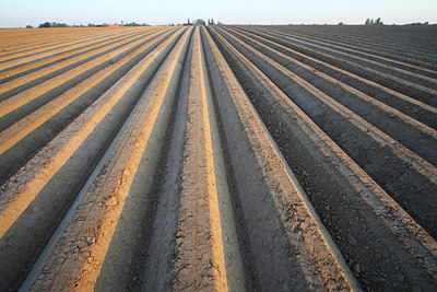 BUITEN BEELD Foto: 50985