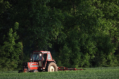 BUITEN BEELD Foto: 51003