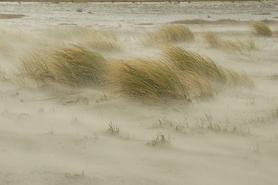 BUITEN BEELD Foto: 51013