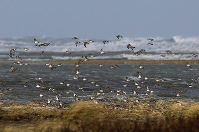 BUITEN BEELD Foto: 51015