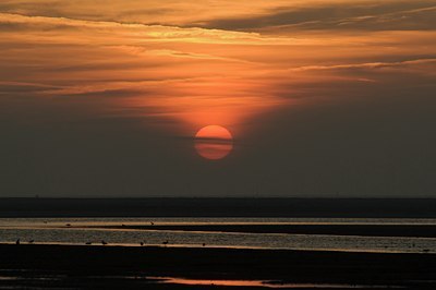 BUITEN BEELD Foto: 51025