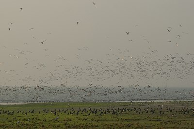 BUITEN BEELD Foto: 51028