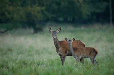 BUITEN BEELD Foto: 51030