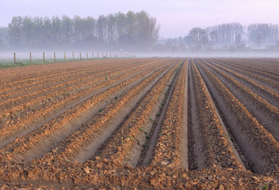 BUITEN BEELD Foto: 51034