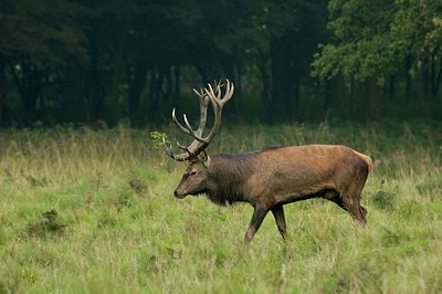 BUITEN BEELD Foto: 51040