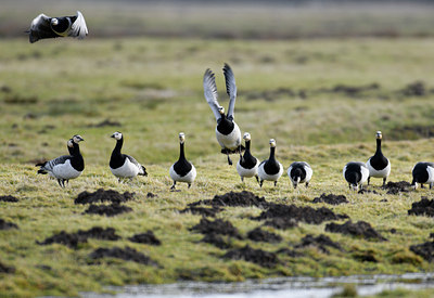 BUITEN BEELD Foto: 51081