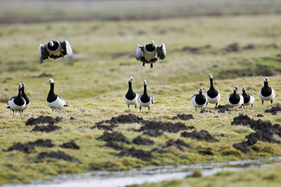 BUITEN BEELD Foto: 51082