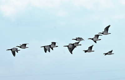 BUITEN BEELD Foto: 51087