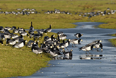 BUITEN BEELD Foto: 51089