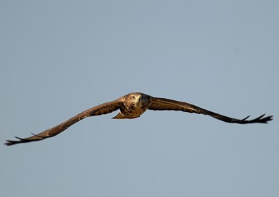 BUITEN BEELD Foto: 51112