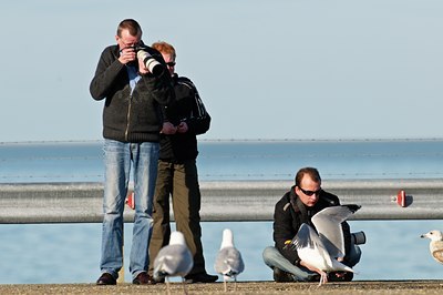 BUITEN BEELD Foto: 51133