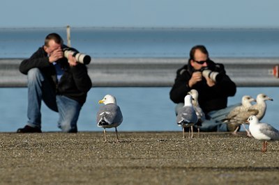 BUITEN BEELD Foto: 51134