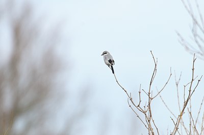 BUITEN BEELD Foto: 51138