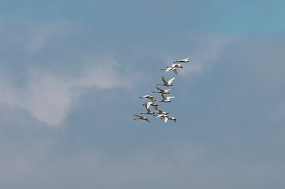 BUITEN BEELD Foto: 51149