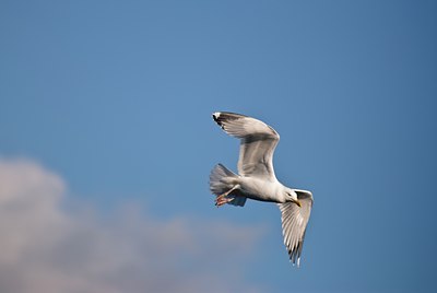 BUITEN BEELD Foto: 51152