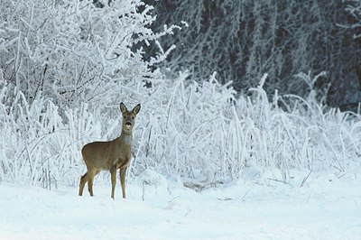 BUITEN BEELD Foto: 51157
