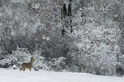BUITEN BEELD Foto: 51159