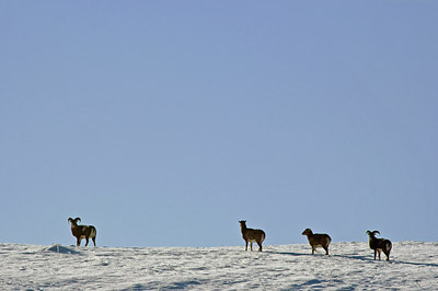 BUITEN BEELD Foto: 51208