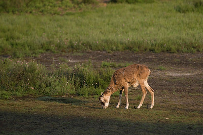 BUITEN BEELD Foto: 51214