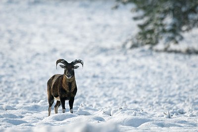 BUITEN BEELD Foto: 51220