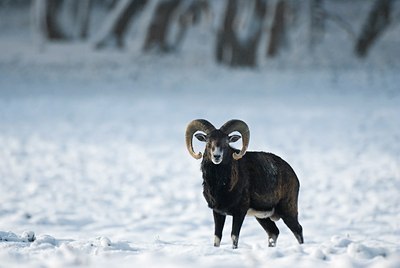 BUITEN BEELD Foto: 51223