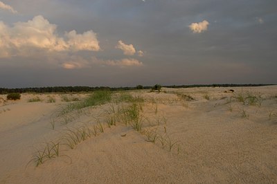 BUITEN BEELD Foto: 51272