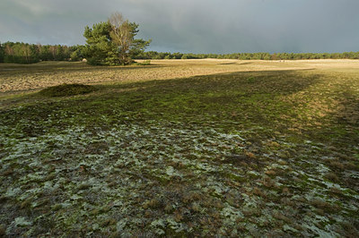 BUITEN BEELD Foto: 51286
