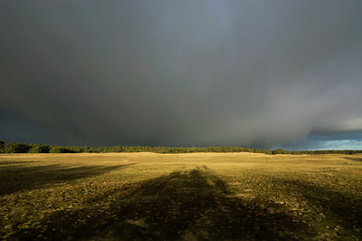 BUITEN BEELD Foto: 51287