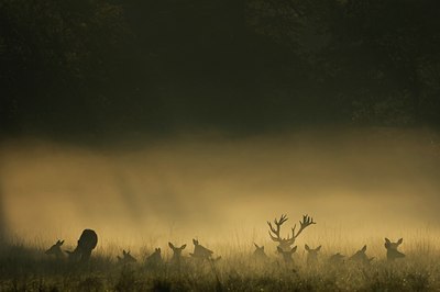 BUITEN BEELD Foto: 51306