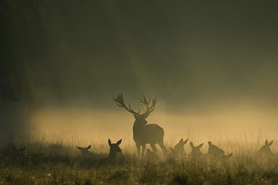BUITEN BEELD Foto: 51308