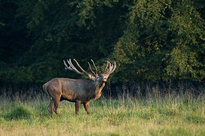 BUITEN BEELD Foto: 51309