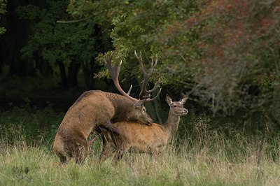 BUITEN BEELD Foto: 51314