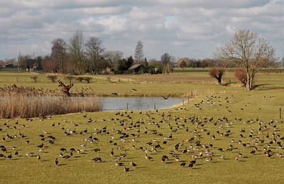 BUITEN BEELD Foto: 51340