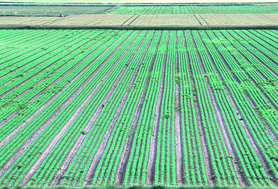 BUITEN BEELD Foto: 51362