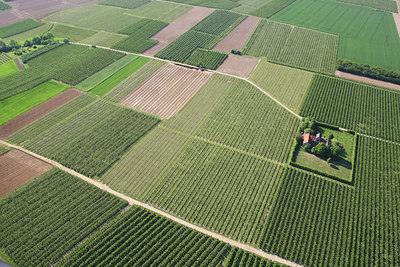 BUITEN BEELD Foto: 51405