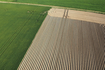BUITEN BEELD Foto: 51414