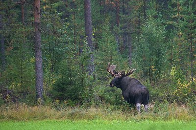 BUITEN BEELD Foto: 51425