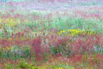 BUITEN BEELD Foto: 51435