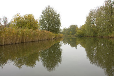 BUITEN BEELD Foto: 51451