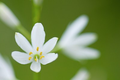 BUITEN BEELD Foto: 51472