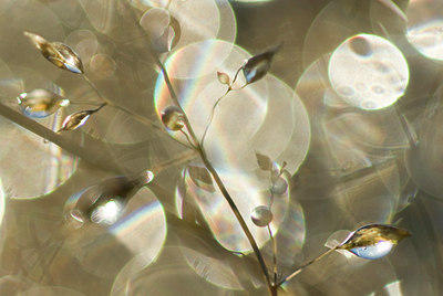 BUITEN BEELD Foto: 51473