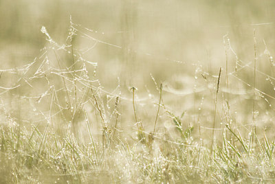 BUITEN BEELD Foto: 51474