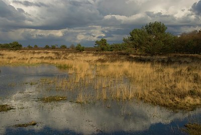 BUITEN BEELD Foto: 51526