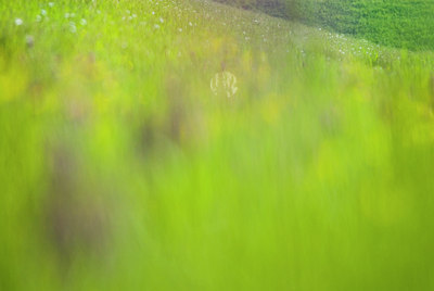 BUITEN BEELD Foto: 51557