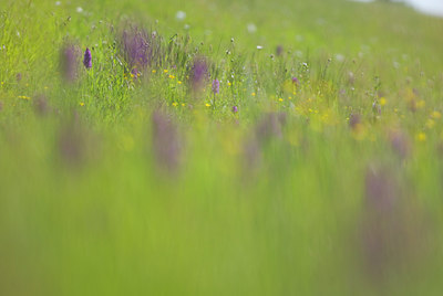 BUITEN BEELD Foto: 51558