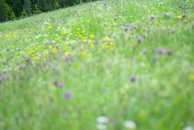 BUITEN BEELD Foto: 51559