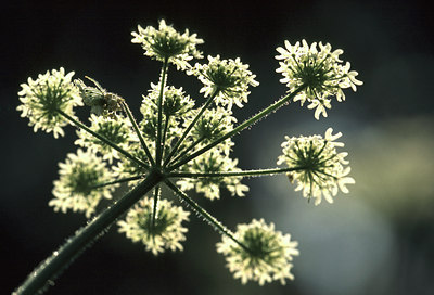BUITEN BEELD Foto: 51597