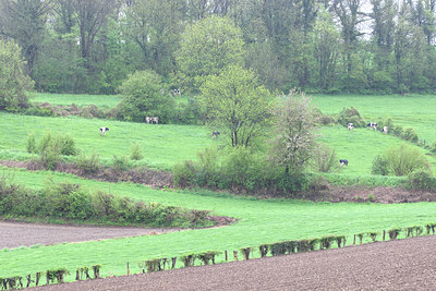 BUITEN BEELD Foto: 51672