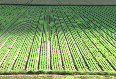 BUITEN BEELD Foto: 51676