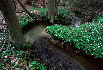 BUITEN BEELD Foto: 51705